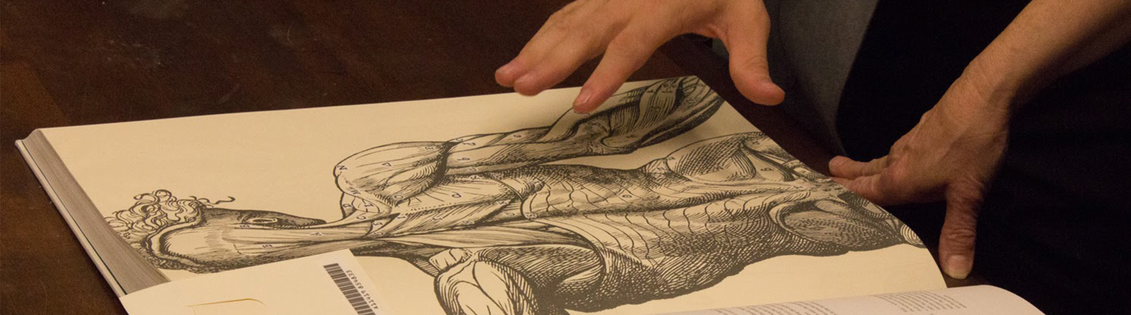 An old anatomical book with 2 hands gesturing to the art.