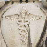 Opening Doors: Contemporary African American Academic Surgeons