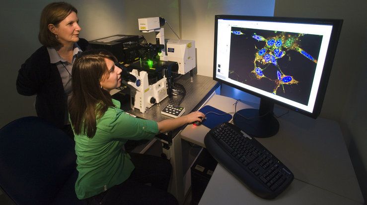 Two postdocs assisting each other in a computer, graphic representation of research.